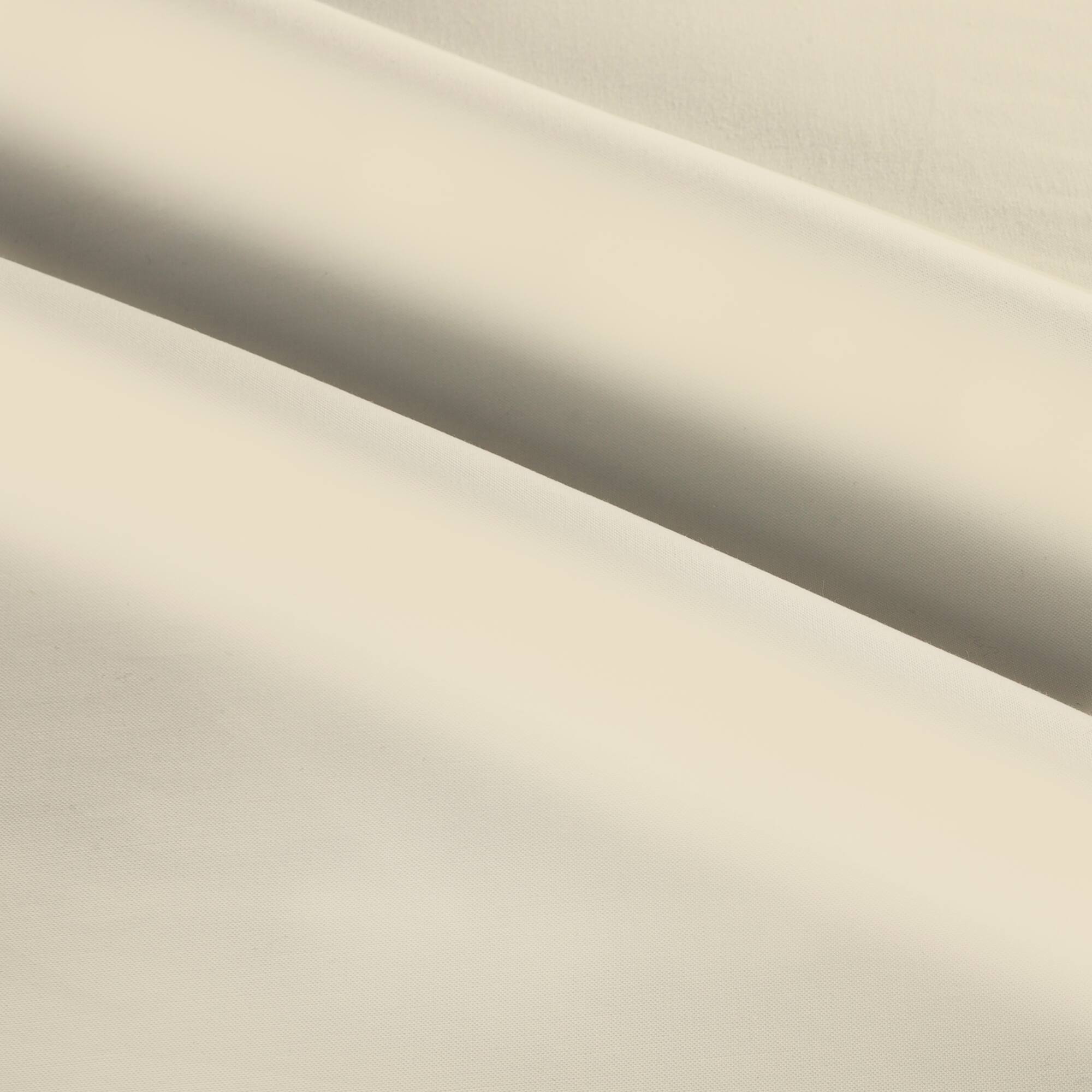 Springs Creative Wide Parchment Cotton Fabric